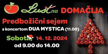 Lustna domačija_Predbožični sejem_ TV (002)