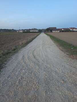 image000003