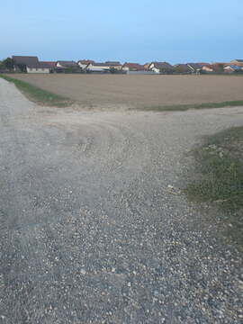 image000004